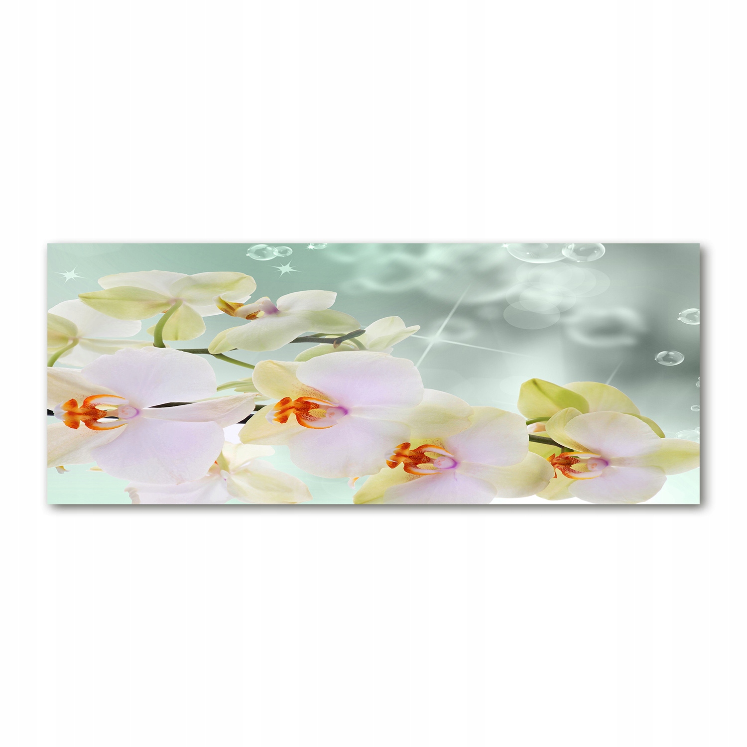 

Foto obraz akryl zdjęcie Biała orchidea 125x50 cm
