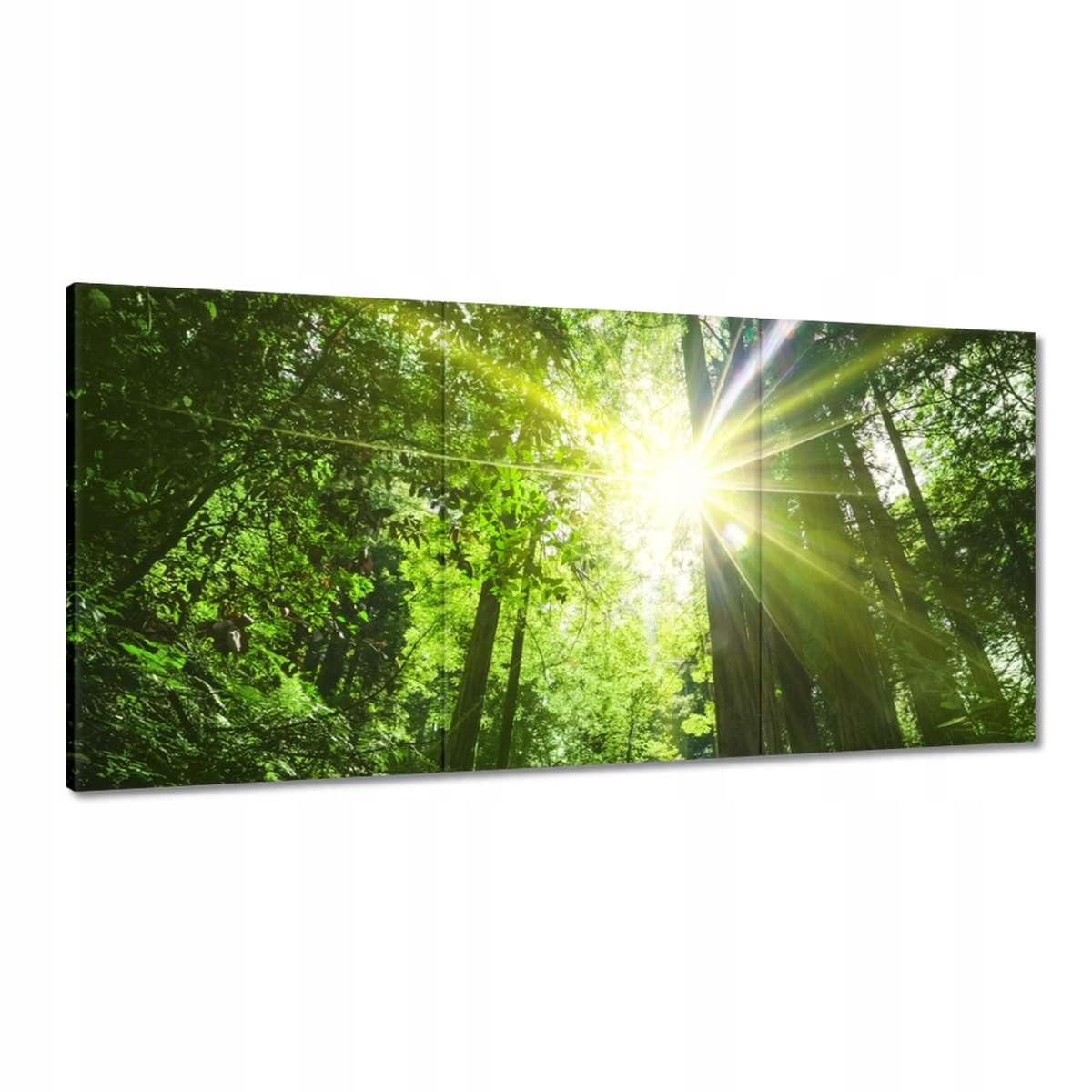 Obrazy 180x90 Magický les Krajina