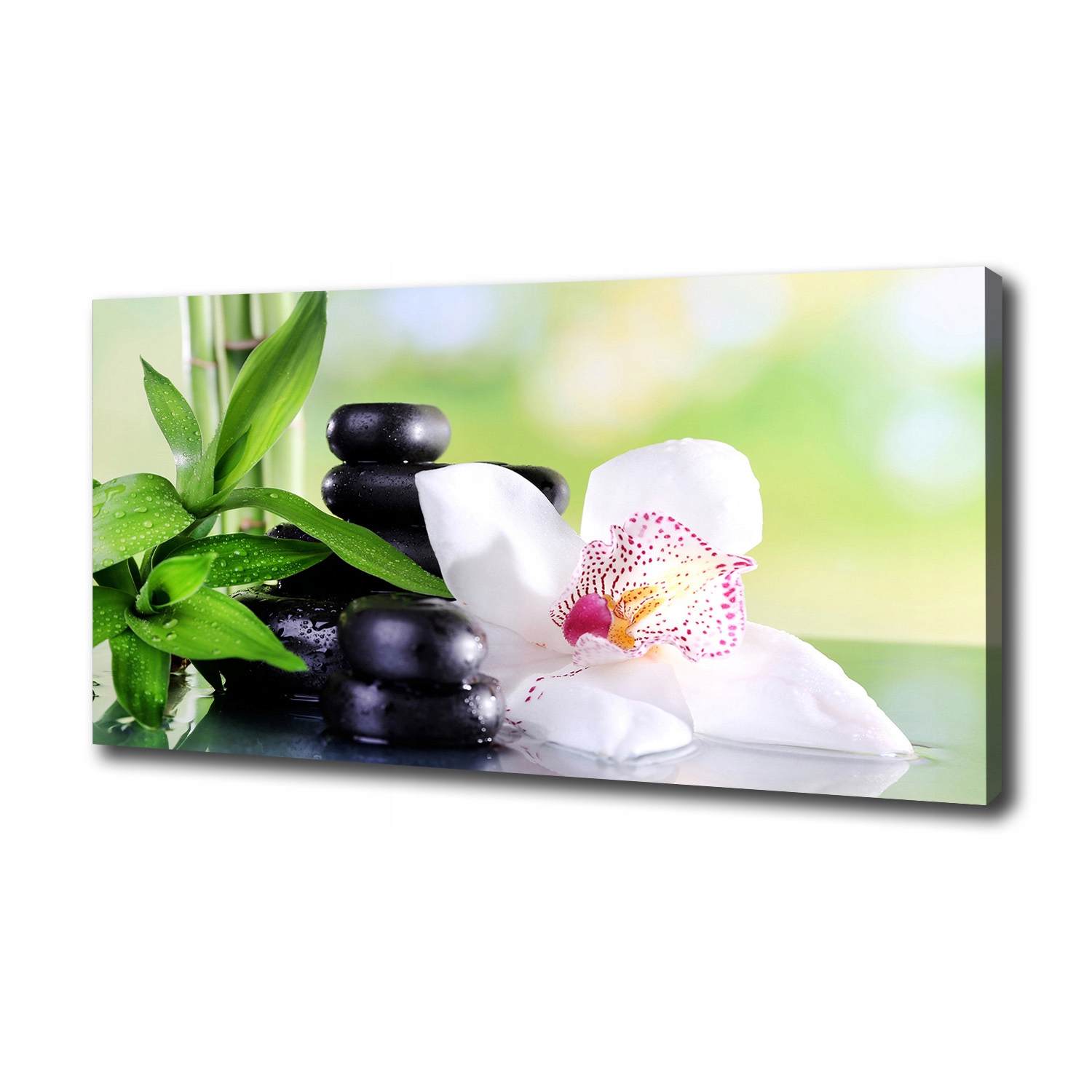 

Foto obraz canvas na ścianę Orchidea 100x50 cm
