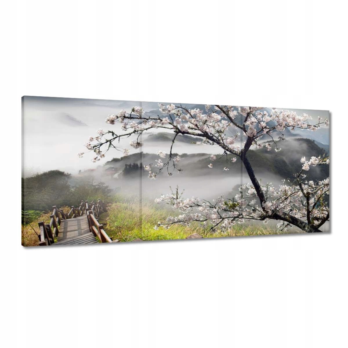 Obrazy 150x70 Japonsko Kvetoucí višeň