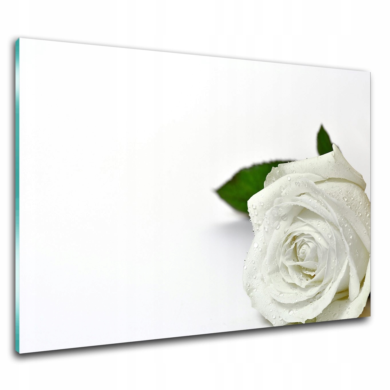 

Foto obraz szklany na ścianę Biała róża 60x40