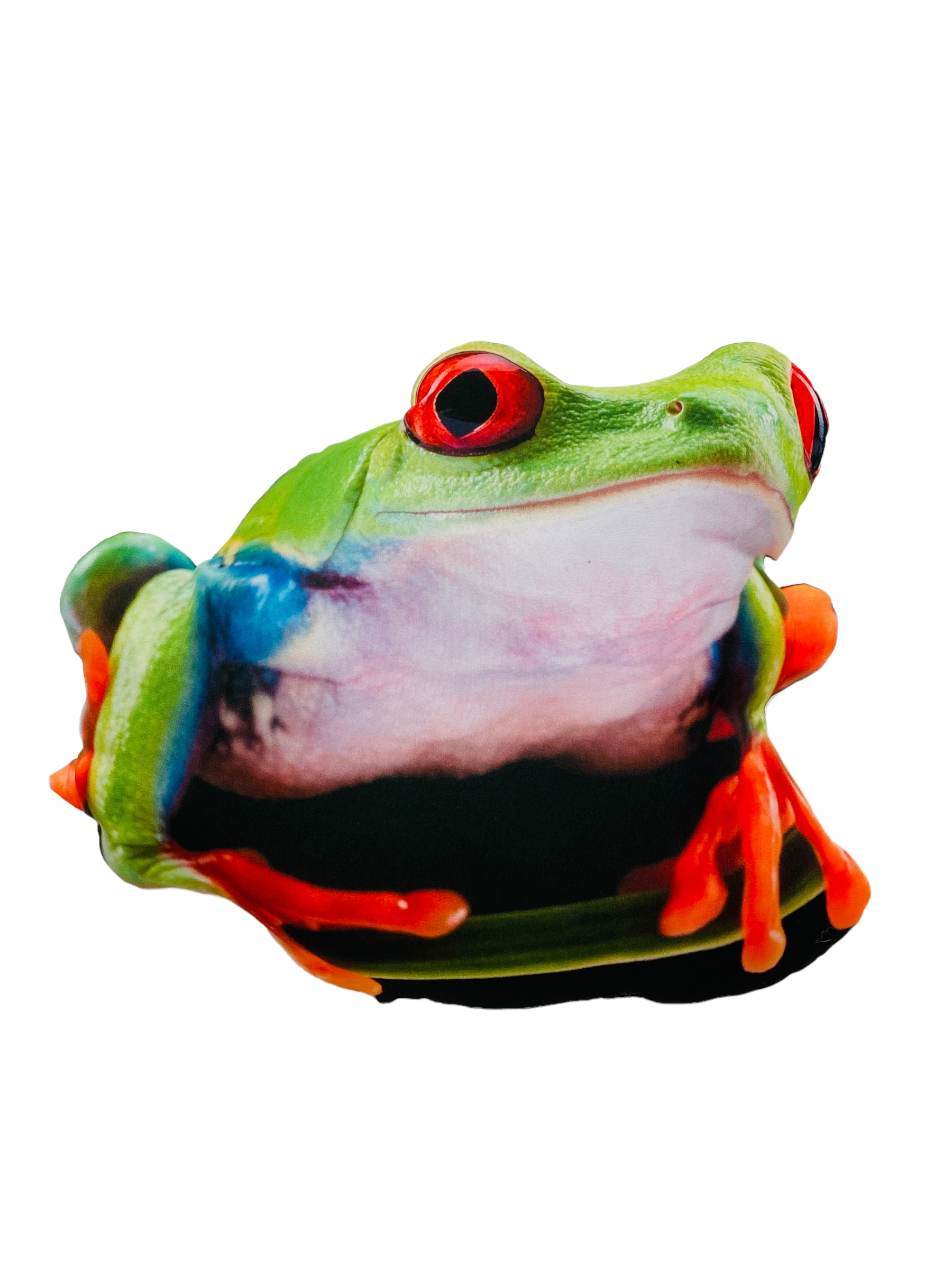 

Poduszka 3D poducha z Żabą Żaba Żabka