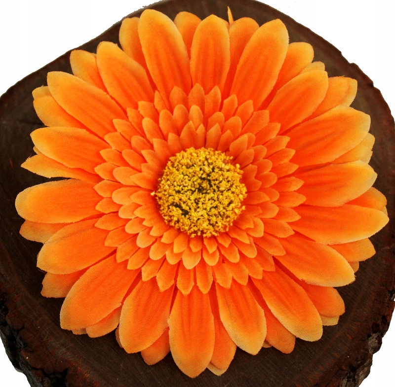 

Gerbera Główka Wyrobowa XXL11 Pomarańczowy