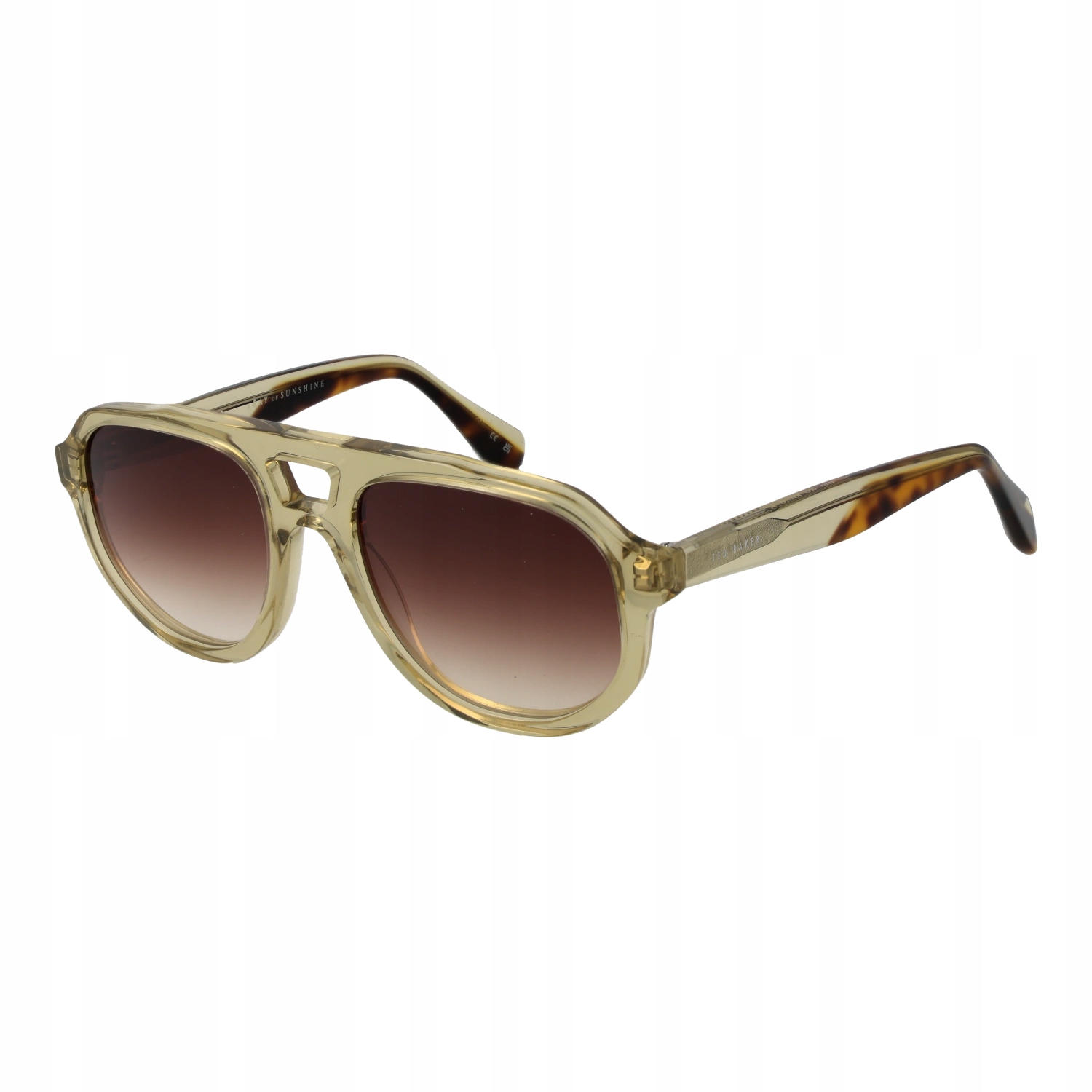 Pánské sluneční brýle Ted Baker TB1692 Gradalne