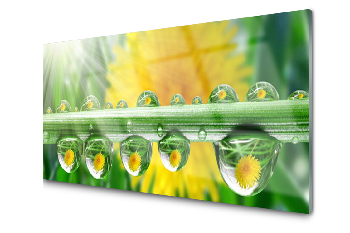 

Panel szklany Płytka Krople Rosa Roślina 100x50