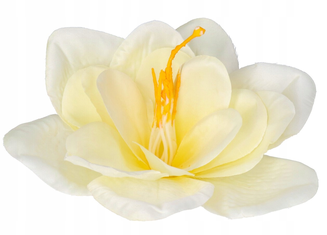 AMARYLIS GŁÓWKA DO WYRABIANIA XXL SZTUCZNE KWIATY