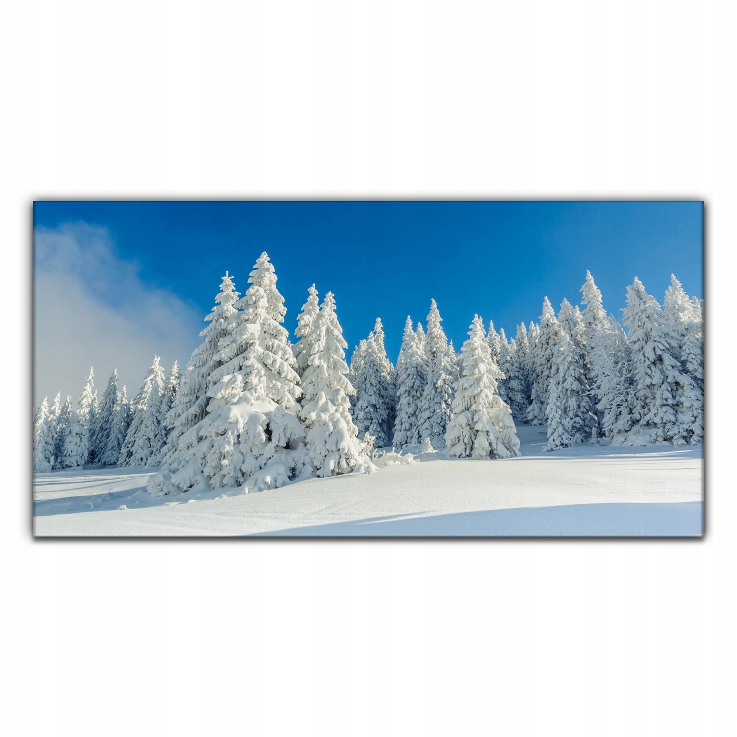 

Obraz na płótnie Zimowy śnieżny dzień 140x70 cm