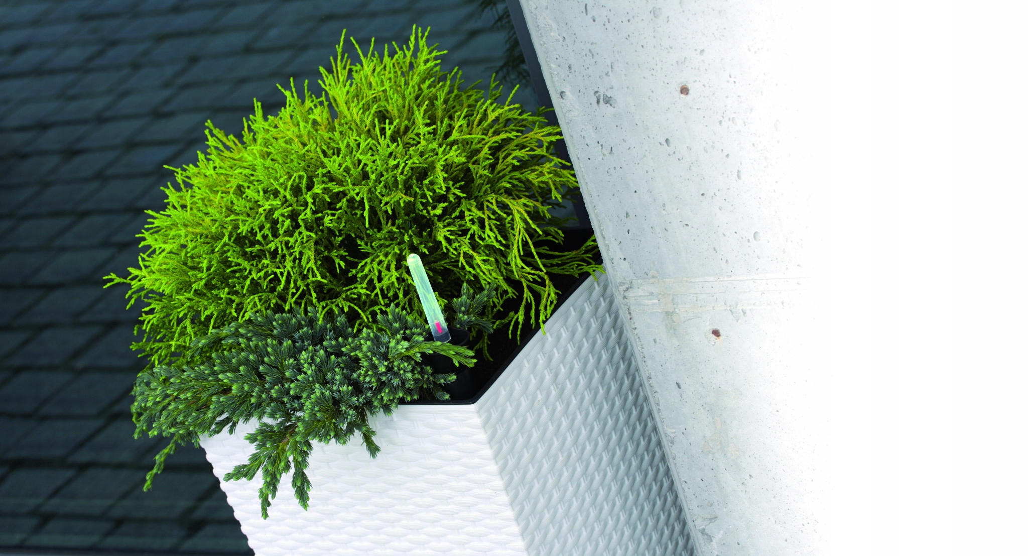 Doniczka wysoka ratanowa DRTS225 16,3l z wkładem Kształt kwadratowy