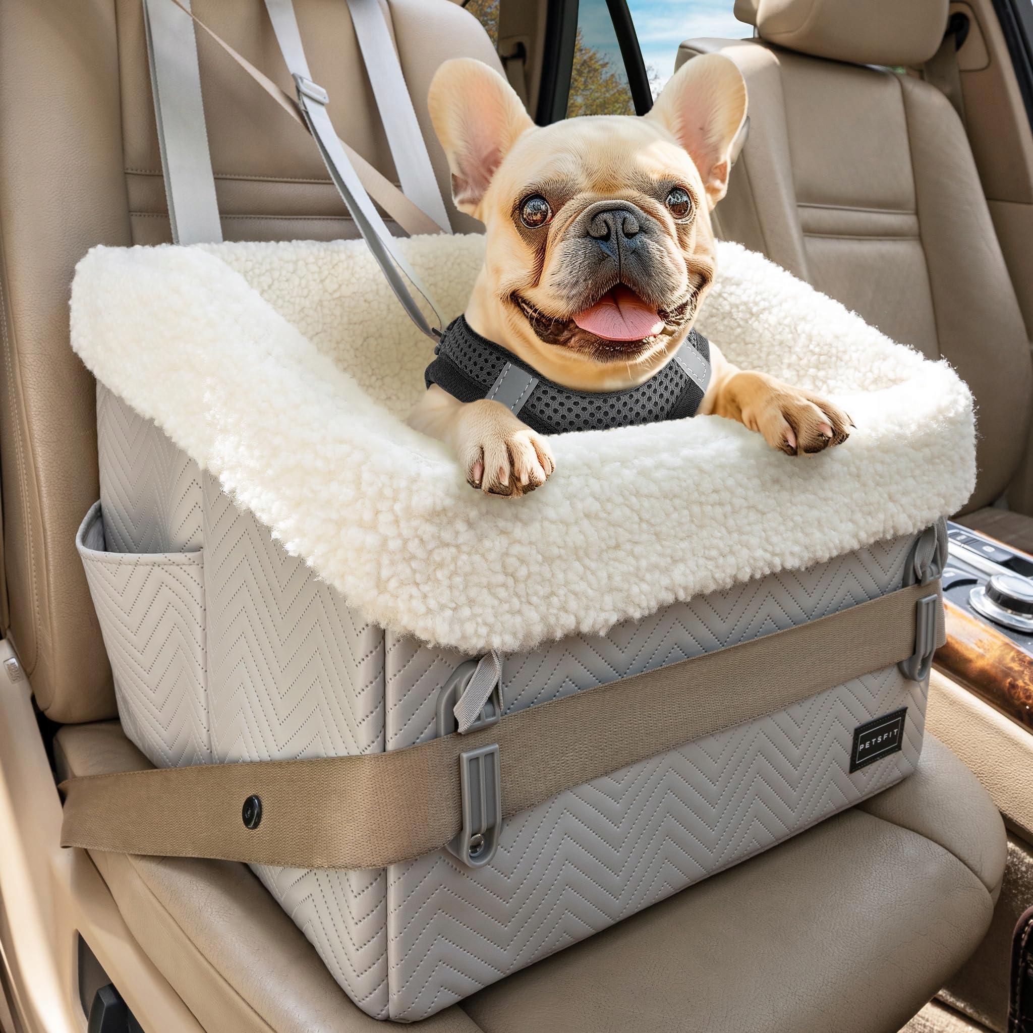 PETSFIT Podwyższony Fotelik Samochodowy Dla Psów Małych Do 12kg — miniatura 2