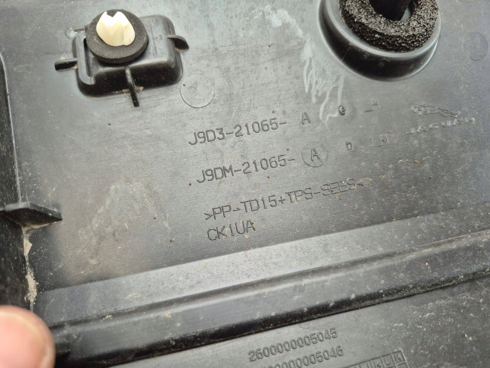 JAGUAR and-PACE 19- moulding door left front front J9D3-21065-A