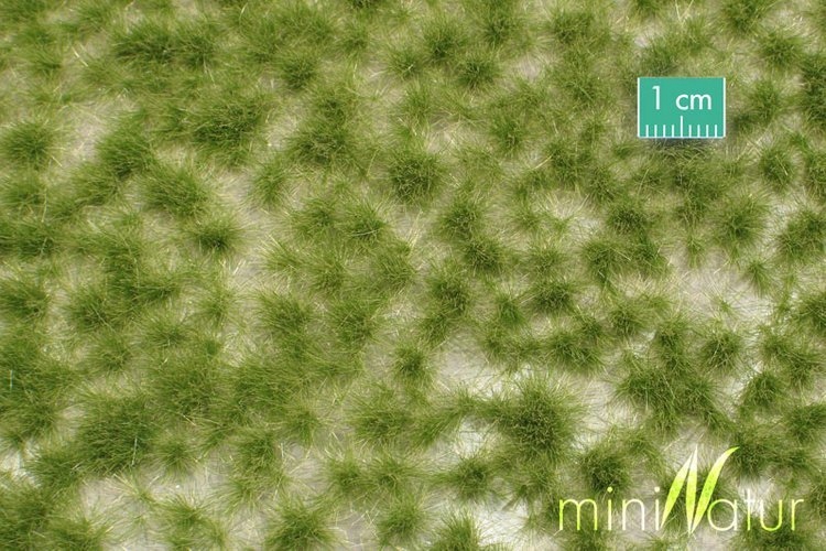 MiniNatur: Tuft - Długa wczesnojesienna trawa 2 (4