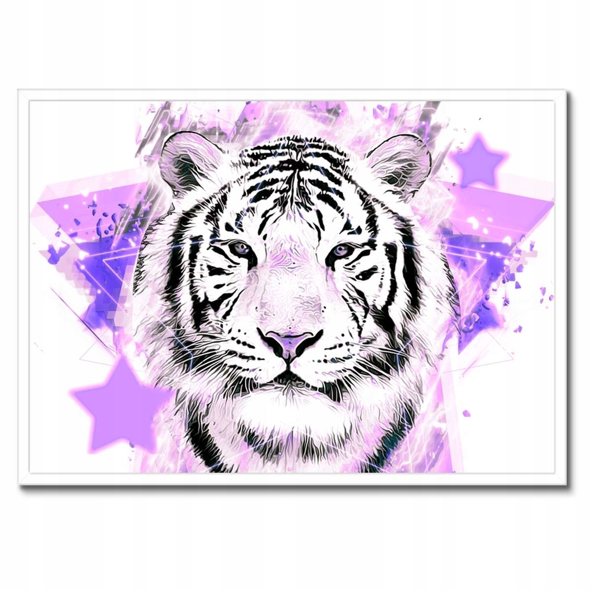Plakáty v rámu 70x50 Tygr ve fialové barvě