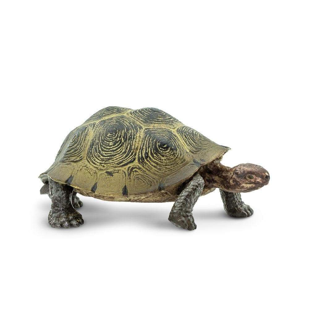 

Żółw Pustynny Desert Tortoise Safari Ltd. 295329
