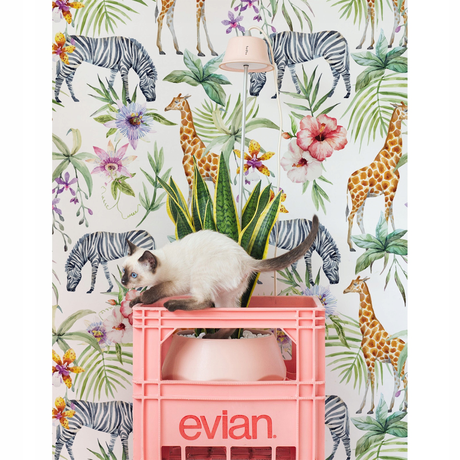 

Fototapeta flizelina Dziki rajski zakątek 104x70