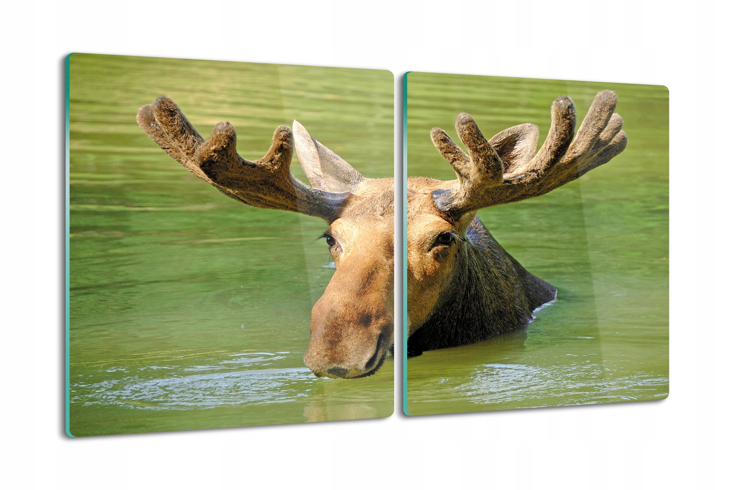 skleněná deska 2x40x52 jako dárek Los voda jezero