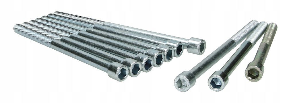 81006100 - Болты головки для SKODA FELICIA II 98-