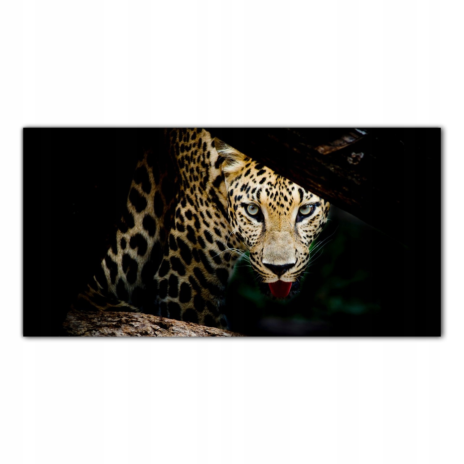 

Obraz na szkle Foto Lampart Zwierzę Portret 100x50