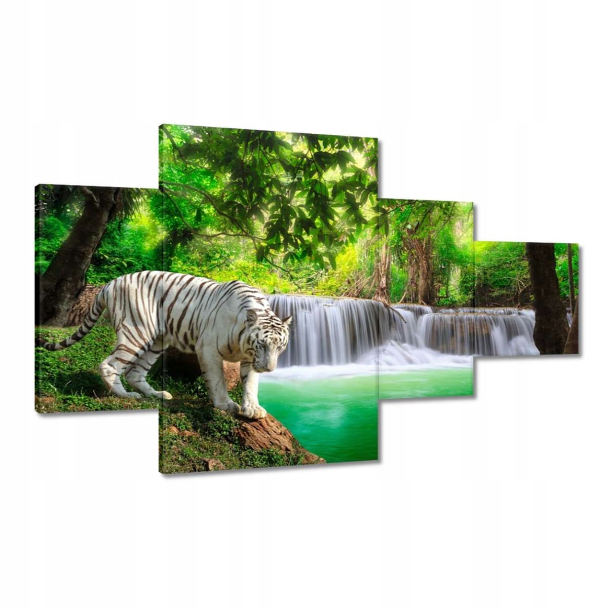 Obrazy 130x80 Tygr u vodopádu
