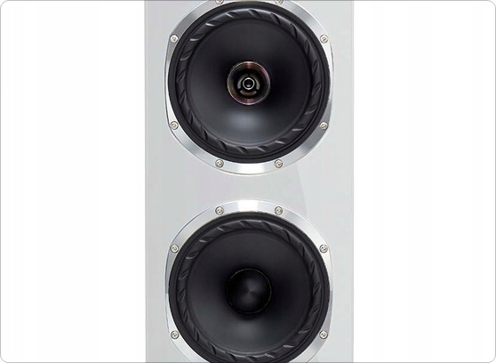KOLUMNY PODŁOGOWE FYNE AUDIO F501SP GLOSS WHITE Konstrukcja dwuipółdrożne
