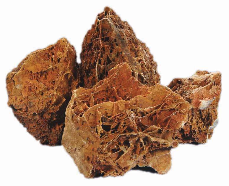 Zkamenělé Javorové Listy Skála Pro Akvárium 10 Kg