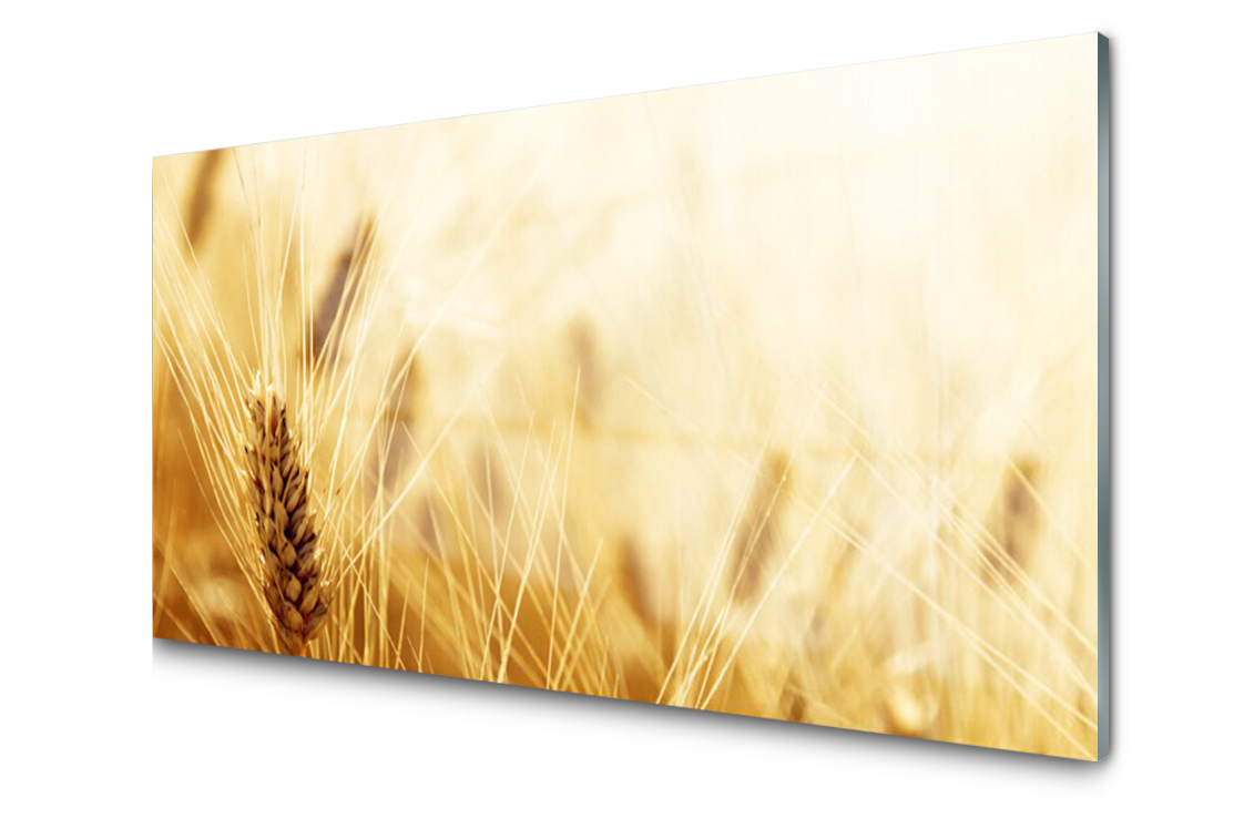 

Panel szklany Płytka Pszenica Roślina 140x70