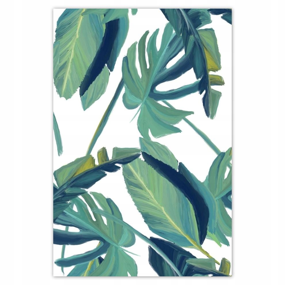

Plakaty 40x60 Monstera Liście liść
