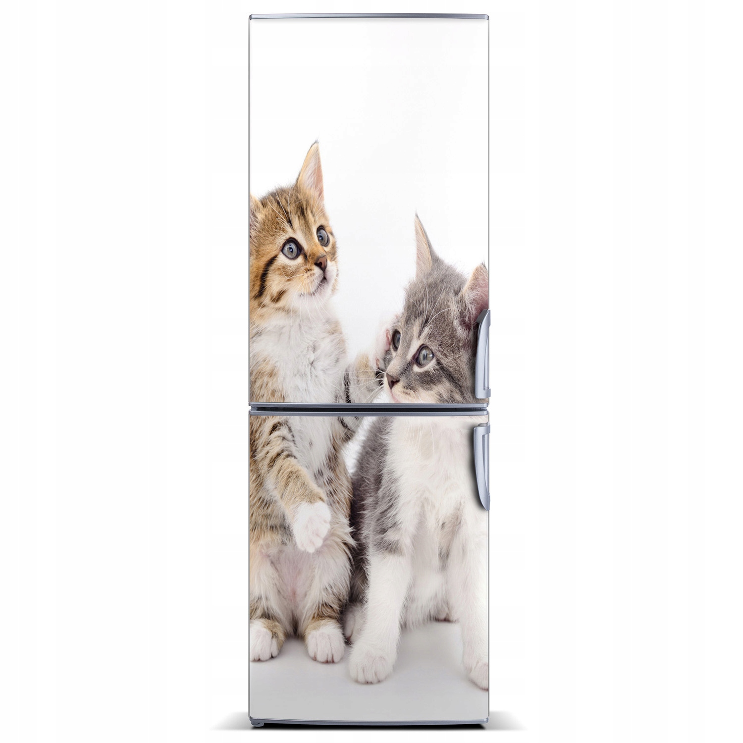 

Naklejka Magnes na lodówkę Dwa małe koty 60x180