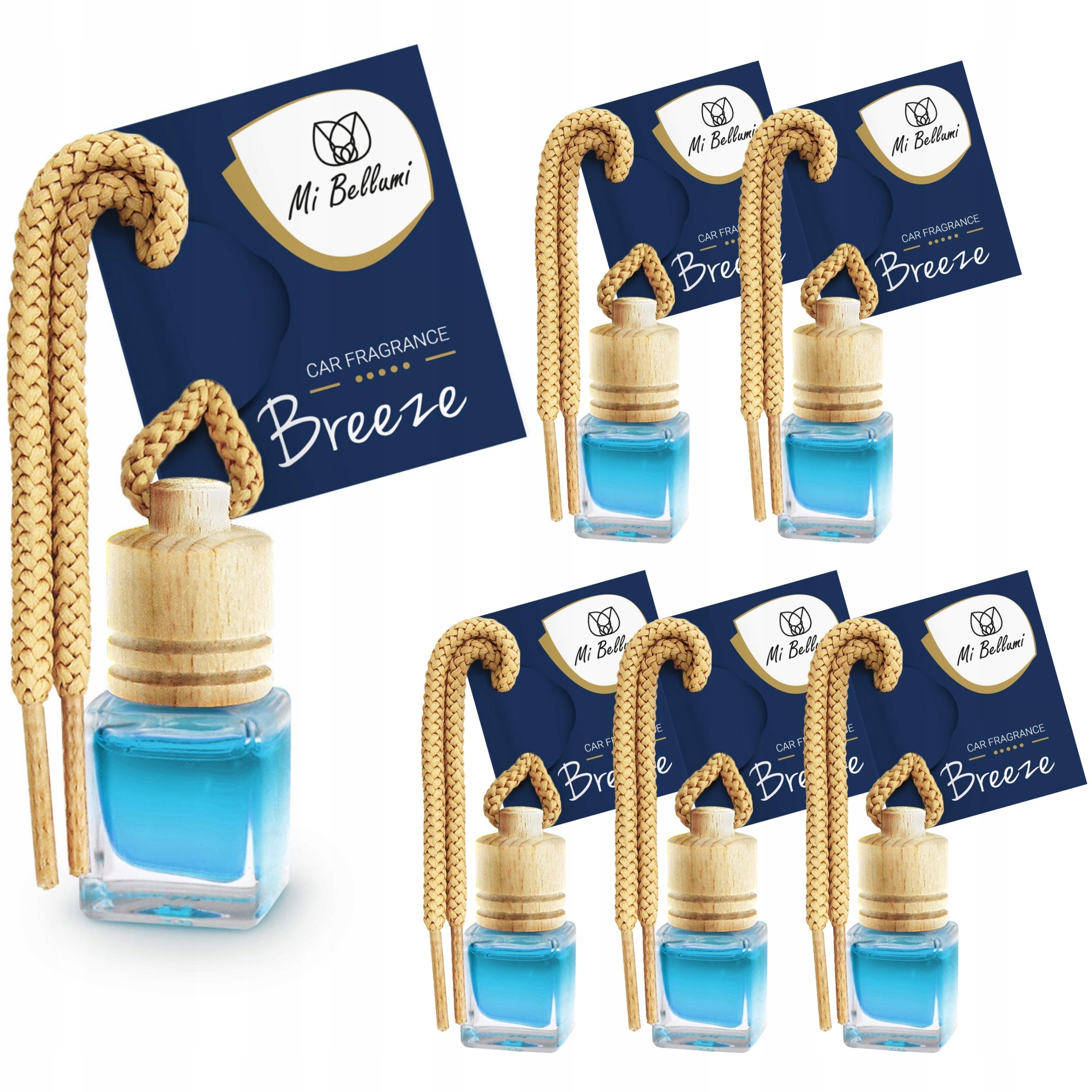 

Zapach do samochodu auta zawieszka Breeze 6szt.