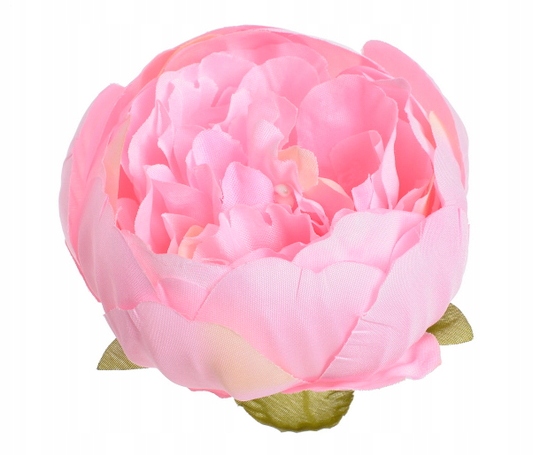 

Peonia Piwonia Główka Wyrobowa Pełna 8cm