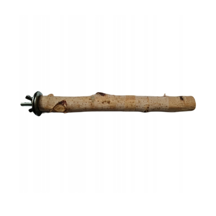

Znudzony Dziubek Żerdź brzozowa 20 cm