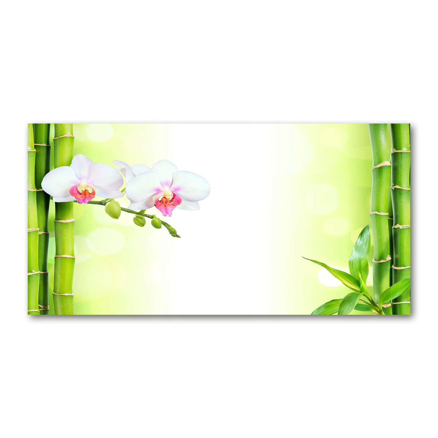 

Foto obraz szklany Orchidea i bambus 140x70