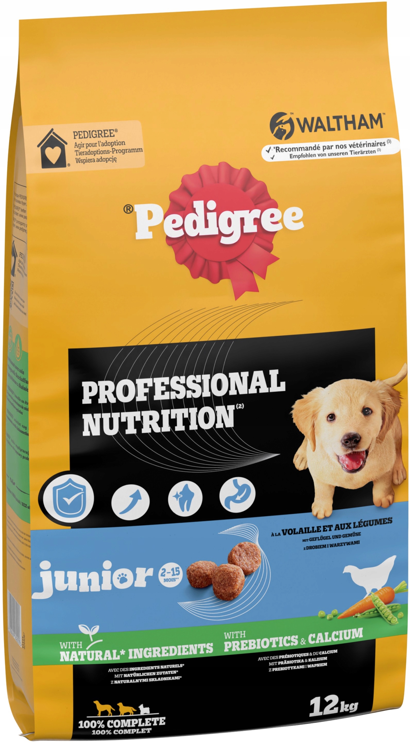 Pedigree Junior sucha karma dla szczeniąt z drobiem i warzywami 12 kg