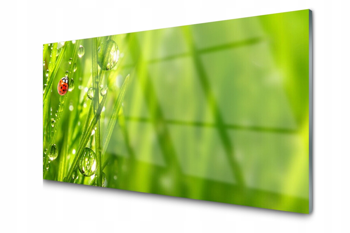 

Panel szklany Płytka Trawa Biedronka 100x50