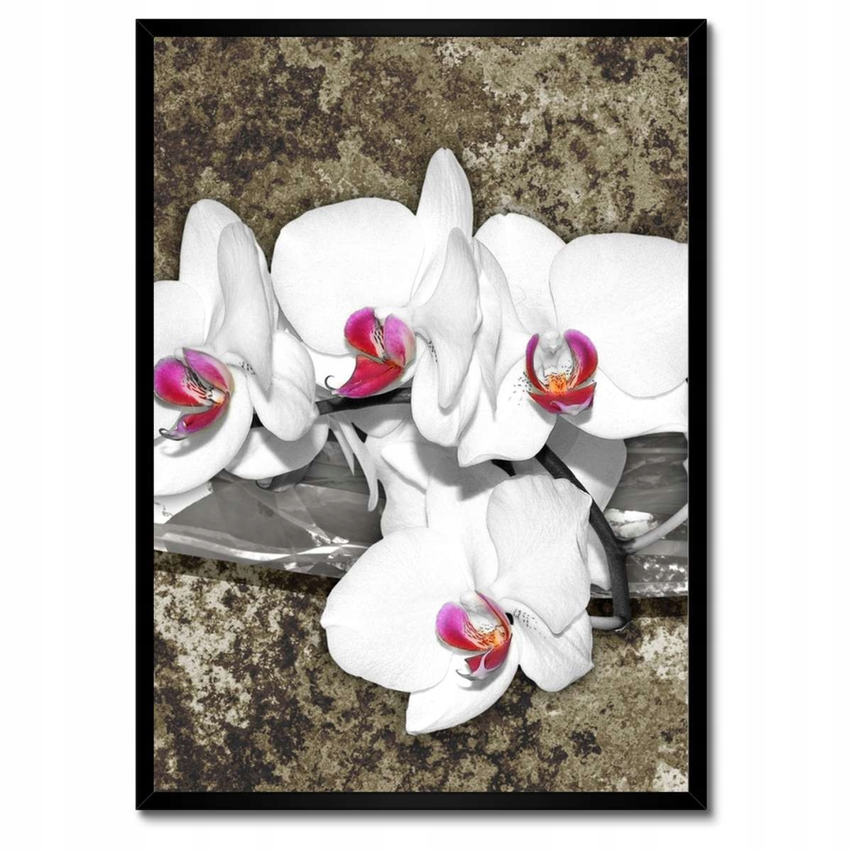 Plakáty v rámu 50x70 Bílá Orchidej Mramorové pozadí