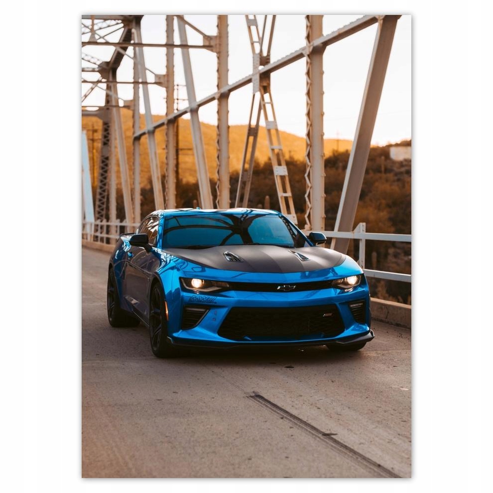 

Naklejki 50x70 Motoryzacja Samochód Auta