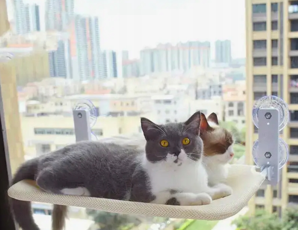 Houpací Síť Pro Kočky Lehátko Připevněné K Oknu Na Přísavky Šedá