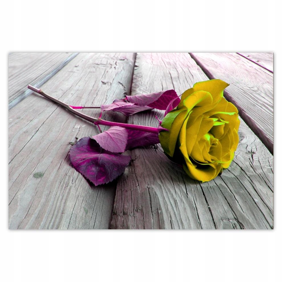 

Plakaty 60x40 Freeky rose