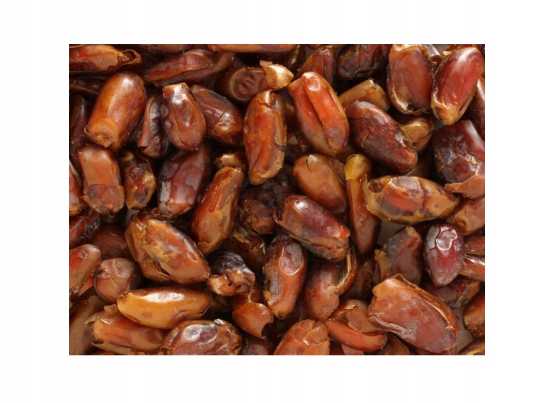 Daktyle suszone bez pestek 10 kg daktyl