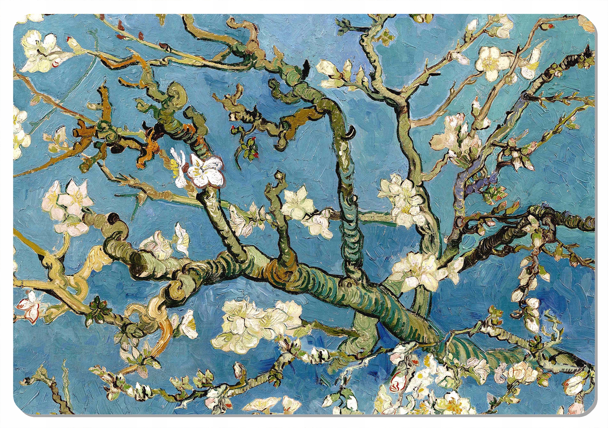 

Podkładka prostokątna Bertoni 29x42 cm Almond
