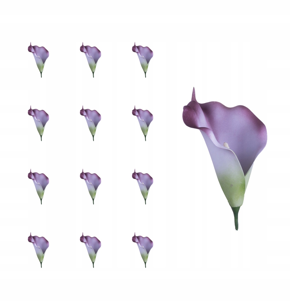 

Kalia główka fiolet krem 12 sztuk do wyrobu