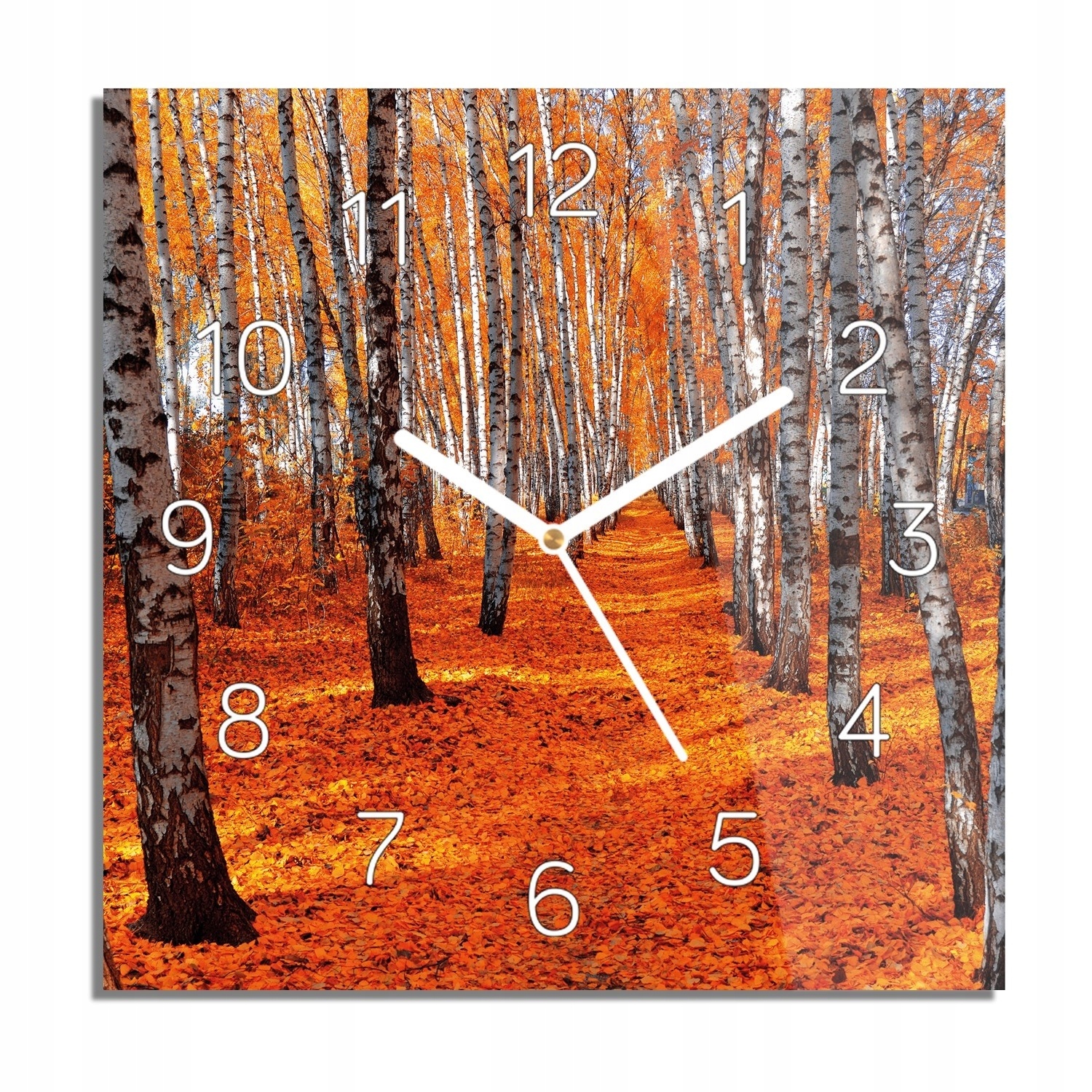 Les břízy podzim hodiny na skle do pokoje 30x30