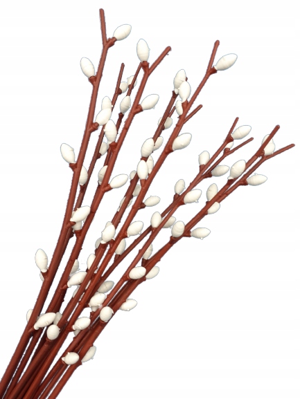 

Bazie bazia Gałązka na stoik 23cm wielkanoc 12szt