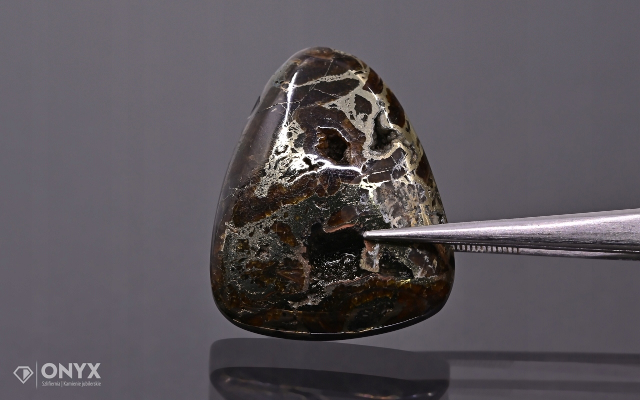 Amonit spiritizovaný nepravidelný 29x24 mm