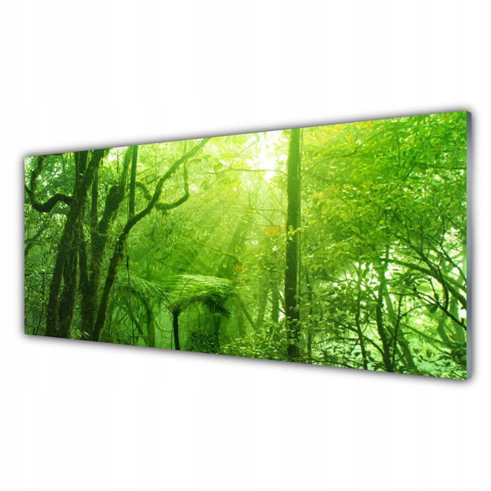 

Obraz z grafiką z nadrukiem 125x50 Drzewa Natura