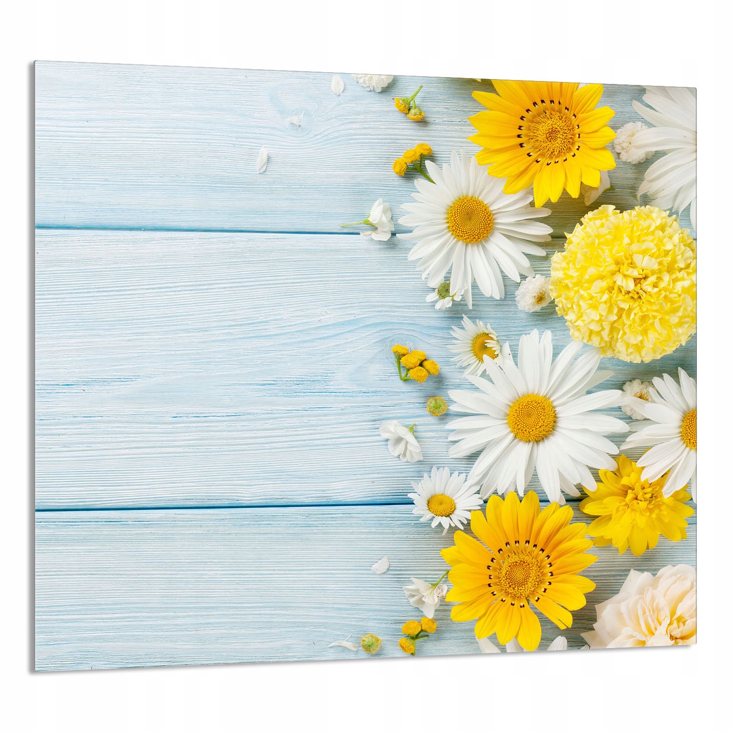 Skleněný Panel Do Kuchyně 65x60 Heřmánek Tvrzené Sklo