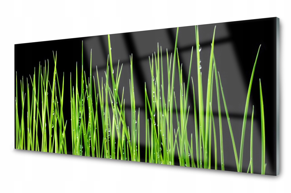 

Panel szklany do kuchni Dekor Trawa 125x50