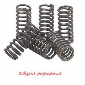 Pružiny Moto Yamaha XV 1700 Pcr Road Star Warrior (03-05)/ Ebcc