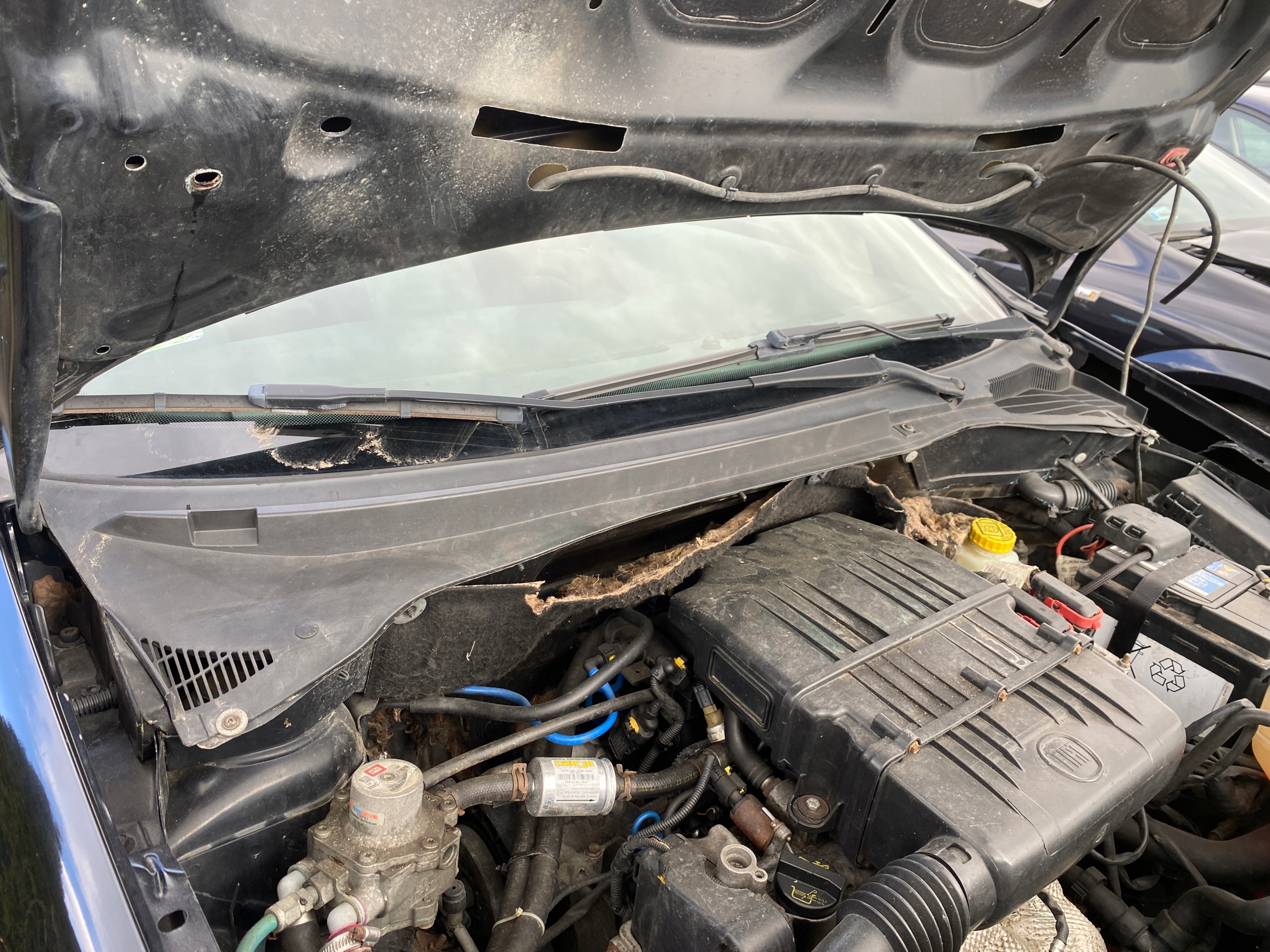 Fiat Grande Punto 05-12 torpedo