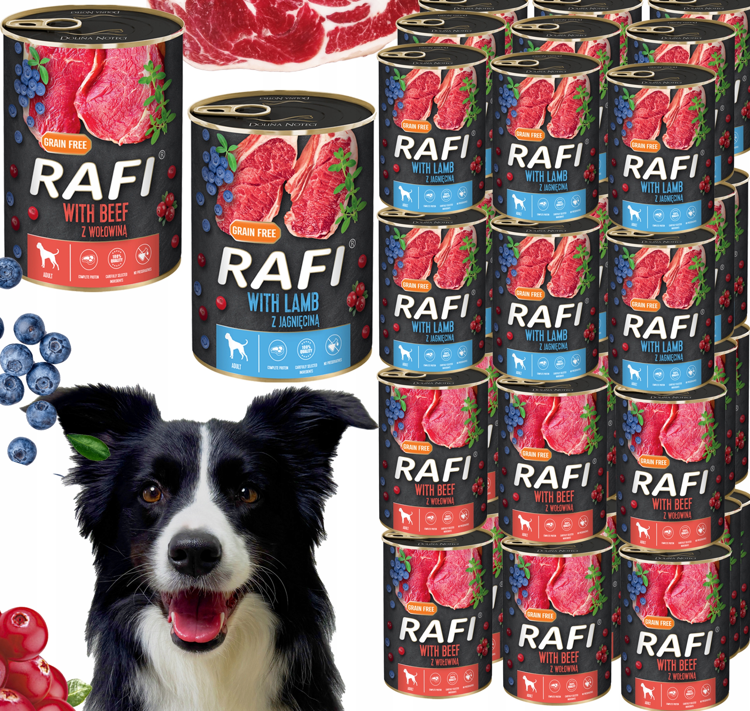 Levně Rafi krmivo mix chutí 21,64 kg