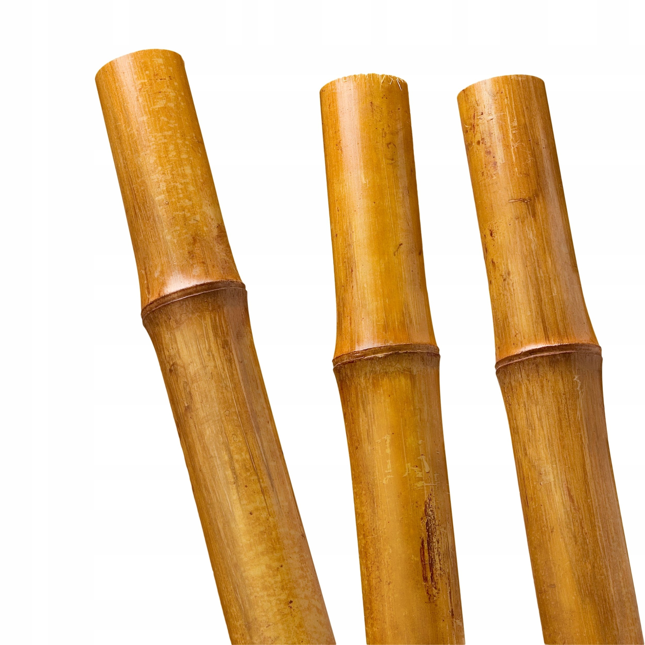 BioBamboo Stick tyczka bambusowa 60cm 6-8mm bambus Średnica 7 mm